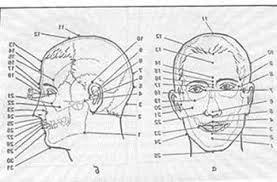 images 22